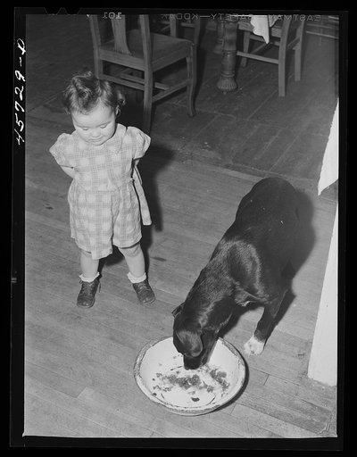 Untitled photo, possibly related to: "Sister" reaching for some doughnuts at the Gaynor home near Fairfield, Vermont
