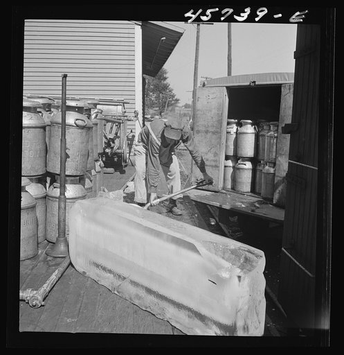 Untitled photo, possibly related to: Dumping ice into a milk truck at the United Farmers' Cooperative Creamery