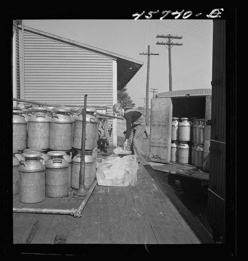 Untitled photo, possibly related to: Dumping ice into a milk truck at the United Farmers' Cooperative Creamery