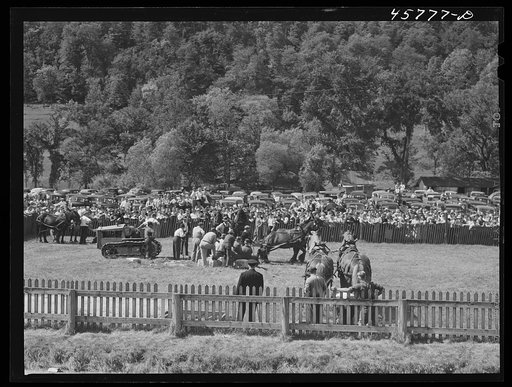 Untitled photo, possibly related to: Weight-pulling contest for horses at the World's Fair in Tunbridge, Vermont