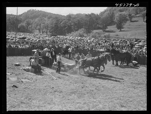 Weight-pulling contest for horses at the World's Fair of Tunbridge, Vermont