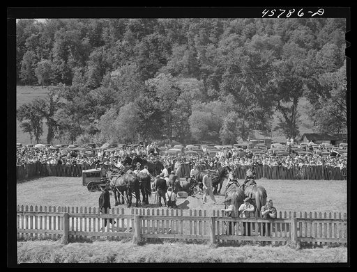 Weight-pulling contest for horses at the World's Fair in Tunbridge, Vermont