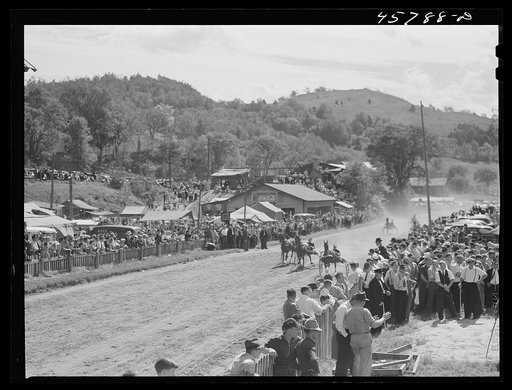 Sulky races at the World's Fair at Tunbridge, Vermont