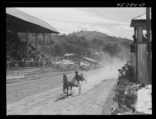 Sulky races at the World's Fair at Tunbridge, Vermont