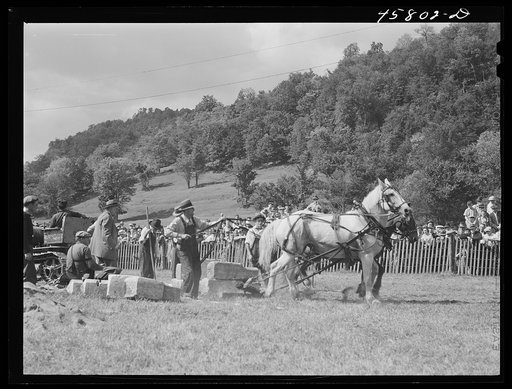 Untitled photo, possibly related to: Weight-pulling contest for horses at the World's Fair. Tunbridge, Vermont