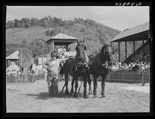 Vermont farmer with his team of horses which won the weight-pulling contest at the World's Fair. Tunbridge, Vermont
