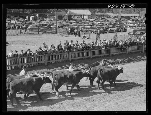 The parade at the World's Fair at Tunbridge, Vermont