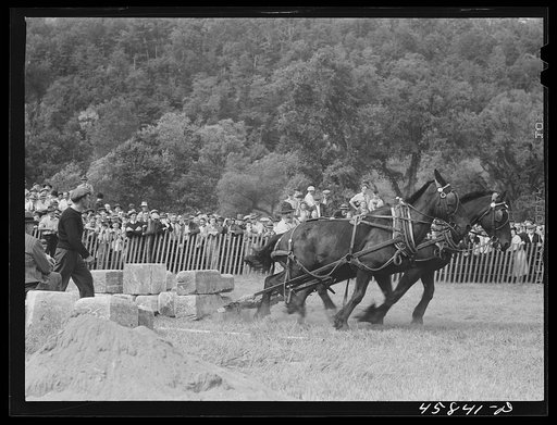 Untitled photo, possibly related to: Weight-pulling contest for horses at the World's Fair at Tunbridge, Vermont