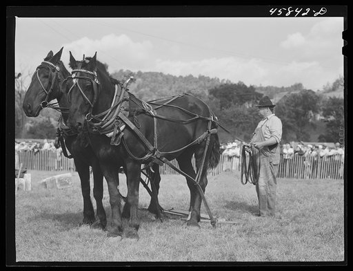 Untitled photo, possibly related to: Vermont farmer with his team of horses which won the weight-pulling contest at the World's Fair. Tunbridge, Vermont
