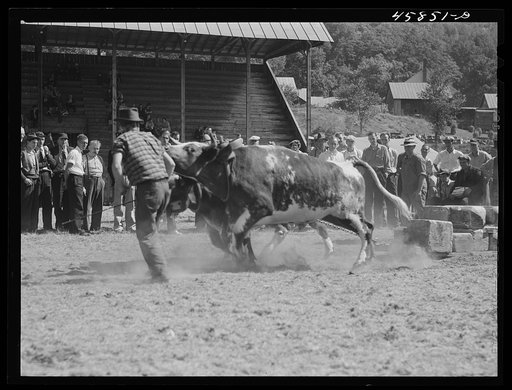 Untitled photo, possibly related to: Weight-pulling contest at the World's Fair at Tunbridge, Vermont