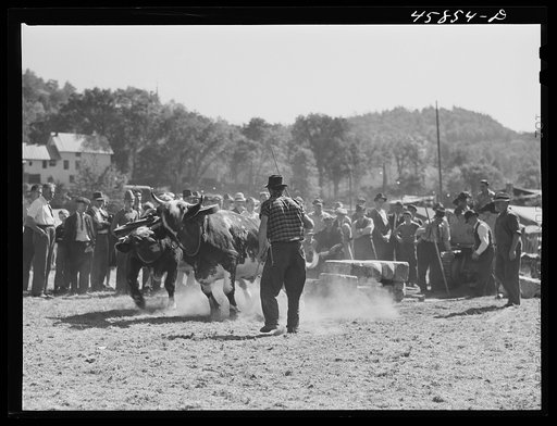Untitled photo, possibly related to: Weight-pulling contest at the World's Fair at Tunbridge, Vermont