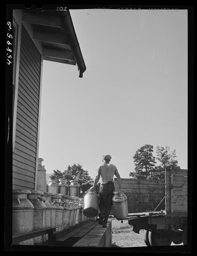 Unloading milk cans from a farmer's truck at the United Farmers' Cooperative Creamery