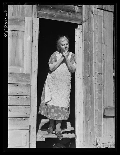 Franklin County, Vermont. A farm woman who, with her family, lives in a barn