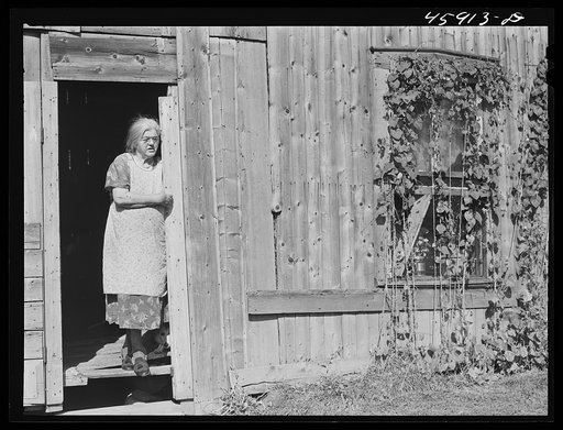 Franklin County, Vermont. A farm woman who with her family lives in a barn
