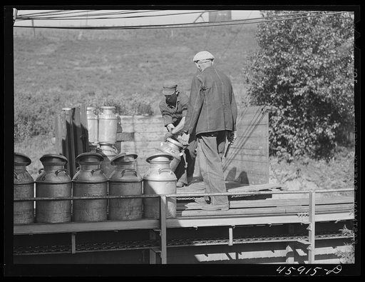 Untitled photo, possibly related to: Farmer unloading milk cans at the United Farmers' Co-op Creamery. East Berkshire, Vermont