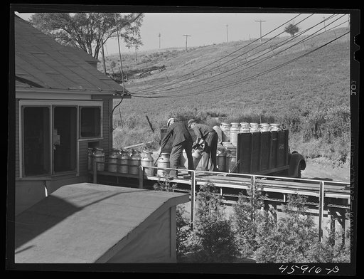 Farmer unloading milk cans at the United Farmers' Co-op Creamery. East Berkshire, Vermont