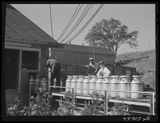 Untitled photo, possibly related to: Farmer unloading milk cans at the United Farmers' Co-op Creamery. East Berkshire, Vermont