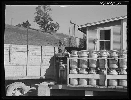 Farmer unloading milk cans at the United Farmers' Co-op Creamery. East Berkshire, Vermont