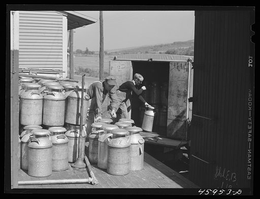 Loading milk cans into a truck at the United Farmers' Co-op Creamery at East Berkshire, Vermont