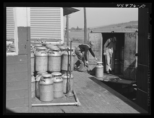 Loading milk cans into a truck at the United Farmers' Co-op Creamery at East Berkshire, Vermont
