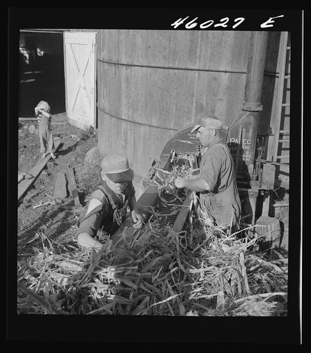 Untitled photo, possibly related to: Filling a silo on a farm