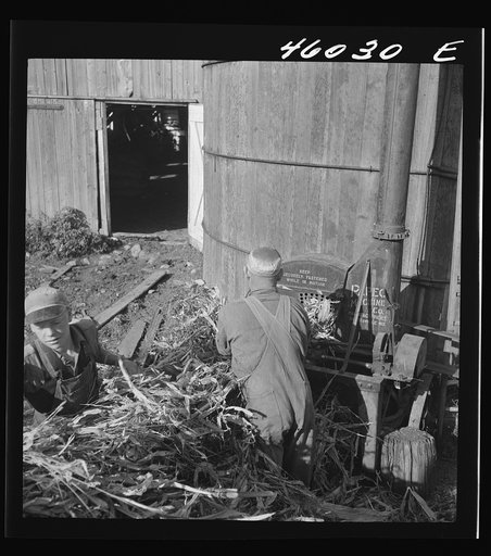 Untitled photo, possibly related to: Filling a silo on a farm