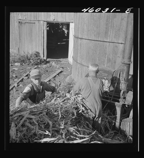 Untitled photo, possibly related to: Filling a silo on a farm