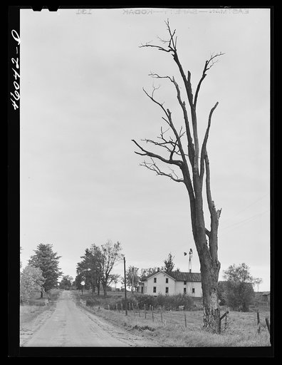 Road in the Pine Camp expansion area. Houses are now abandoned near Sterlingville, New York