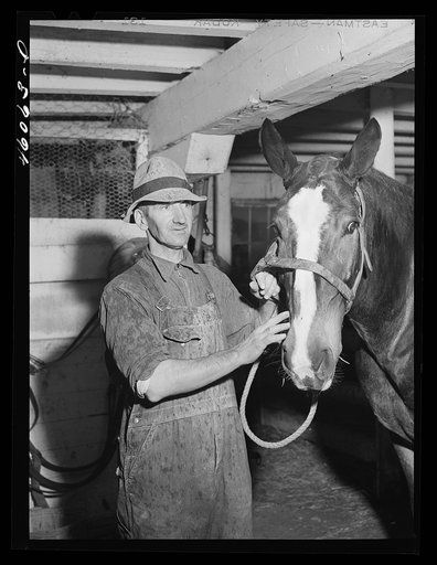 Mr. George Perry, one of the farmers still in the Pine Camp expansion area near New York. He has not yet been able to find a place to move to