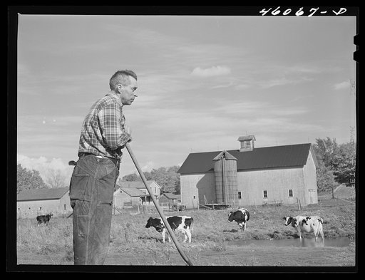 Mr. Dan Sampson formerly had a small farm in the Pine Camp Expansion area; now living on a (210) acre farm in South Rutland, New York. It was obtained through the New York defense relocation corporation
