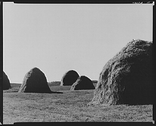 Hay stacks in a field near Essex Junction, Vermont