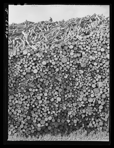 The wood pile outside the Mississquoi Corporation paper mill in Seldon Springs, Vermont