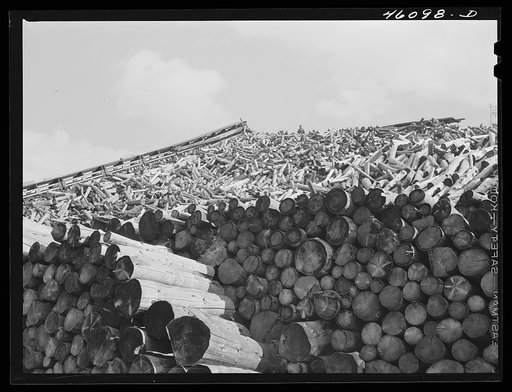 Untitled photo, possibly related to: Wood pile outside the Mississquoi Corporation paper mill in Seldon Springs, Vermont