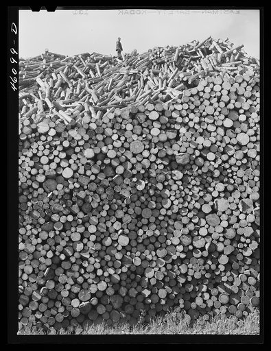 Untitled photo, possibly related to: The wood pile outside the Mississquoi Corporation paper mill in Seldon Springs, Vermont