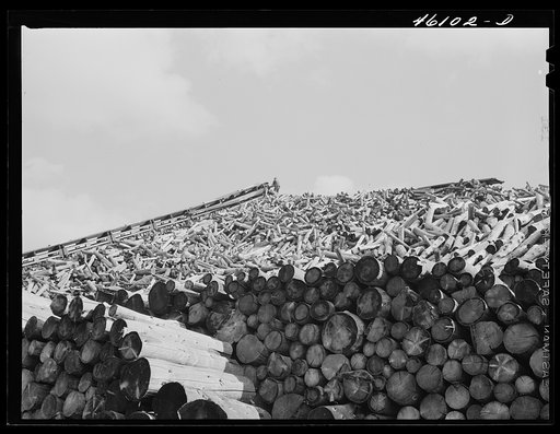 Untitled photo, possibly related to: Wood pile outside the Mississquoi Corporation paper mill in Seldon Springs, Vermont