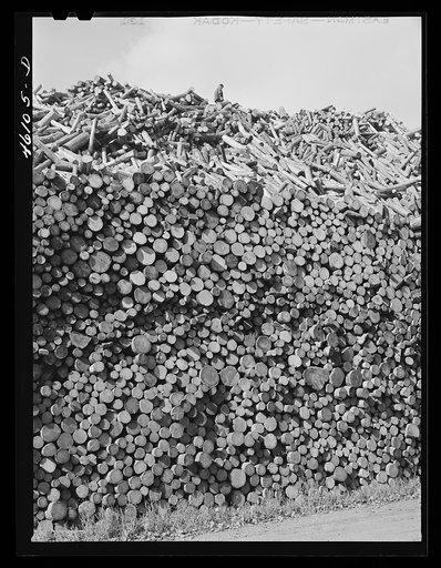 Untitled photo, possibly related to: The wood pile outside the Mississquoi Corporation paper mill in Seldon Springs, Vermont