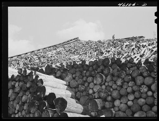 Wood pile outside the Mississquoi Corporation paper mill in Seldon Springs, Vermont