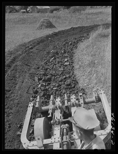 Untitled photo, possibly related to: Greensboro, Greene County, Georgia. Terracing a farm
