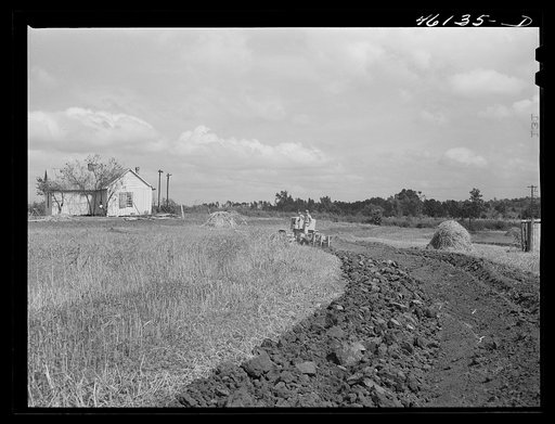 Greensboro, Greene County, Georgia (vicinity). Terracing a farm