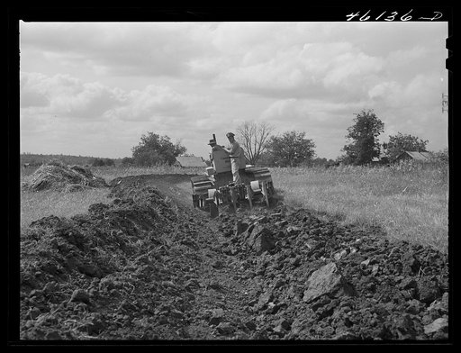 Greensboro, Greene County, Georgia. Terracing a farm
