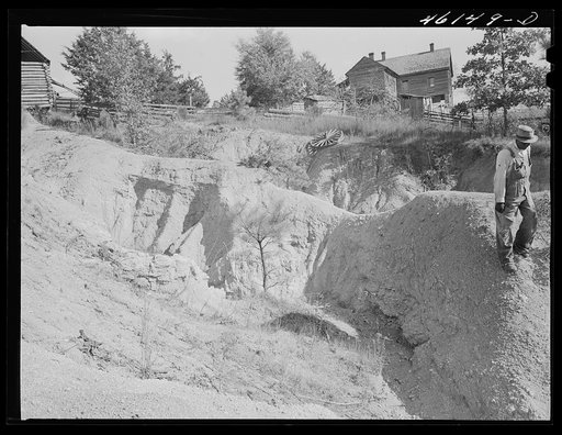 Untitled photo, possibly related to: Greene County, Georgia. Severe gully erosion on a farm in northwestern