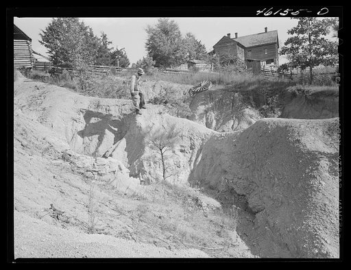 Greene County, Georgia. Severe gully erosion on a farm in the northwestern