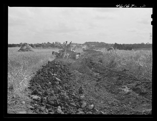 Untitled photo, possibly related to: Greensboro, Greene County, Georgia (vicinity). Terracing on a farm