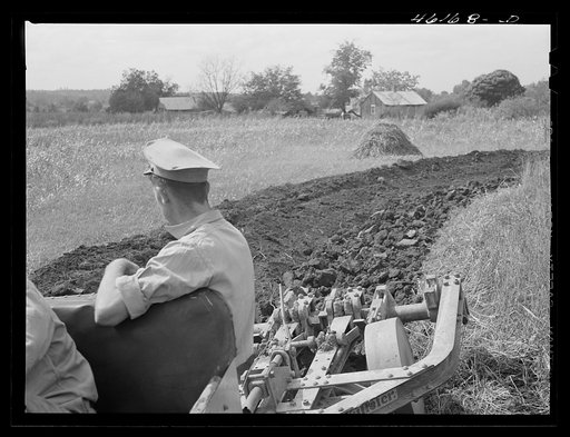 Untitled photo, possibly related to: Greensboro, Greene County, Georgia (vicinity). Terracing on a farm