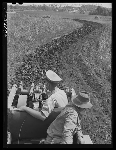 Greensboro, Greene County, Georgia (vicinity). Terracing on a farm