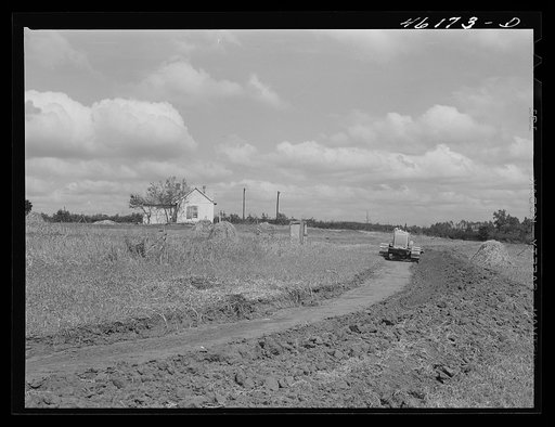 Untitled photo, possibly related to: Greensboro, Greene County, Georgia (vicinity). Terracing a farm