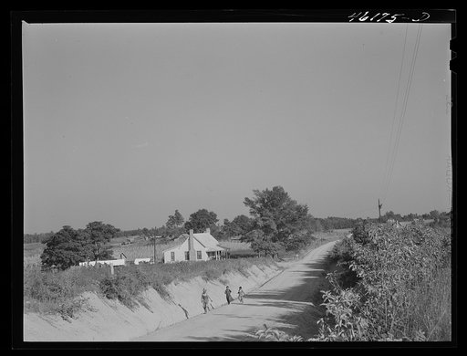 Siloam, Greene County, Georgia (vicinity). Newly creosoted house occupied by a Negro family along a road
