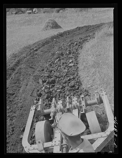 Untitled photo, possibly related to: Greensboro, Greene County, Georgia (vicinity). Terracing on a farm