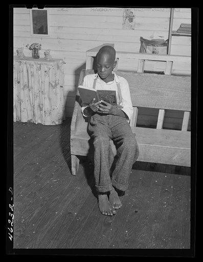 Mosquito Crossing, Greene County, Georgia. The new Negro school