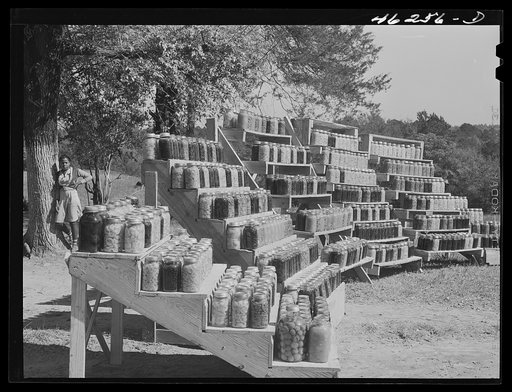 Penfield, Greene County, Georgia. Canned goods made by Doc and Julia Miller, Negro FSA (Farm Security Administration) clients